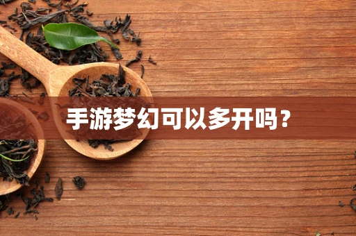 手游梦幻可以多开吗？
