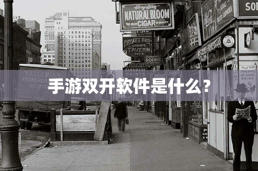手游双开软件是什么？