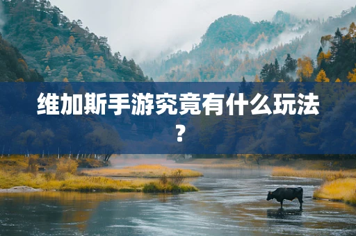 维加斯手游究竟有什么玩法？