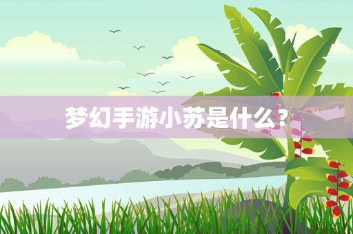 梦幻手游小苏是什么？