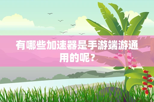 有哪些加速器是手游端游通用的呢？