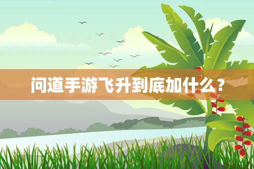 问道手游飞升到底加什么？
