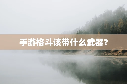 手游格斗该带什么武器？