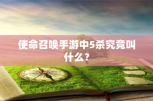 使命召唤手游中5杀究竟叫什么？