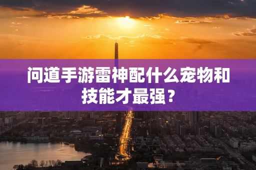问道手游雷神配什么宠物和技能才最强？