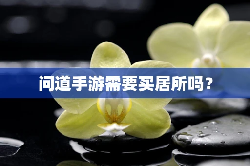 问道手游需要买居所吗？