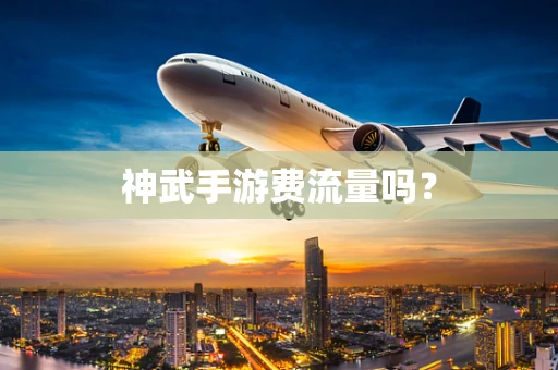 神武手游费流量吗？