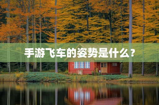 手游飞车的姿势是什么？