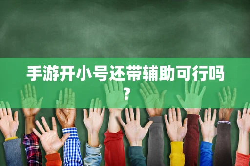 手游开小号还带辅助可行吗？