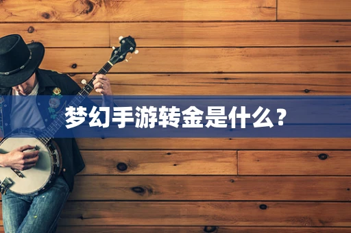 梦幻手游转金是什么？