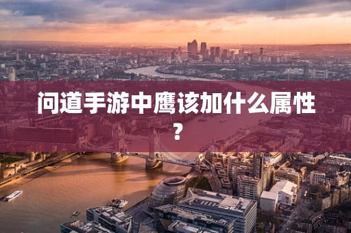 问道手游中鹰该加什么属性？
