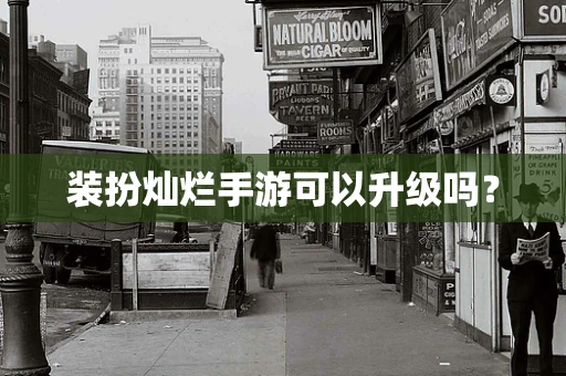 装扮灿烂手游可以升级吗？