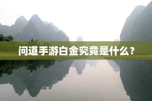 问道手游白金究竟是什么？