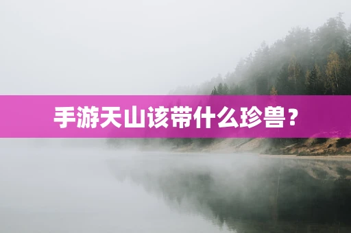 手游天山该带什么珍兽？