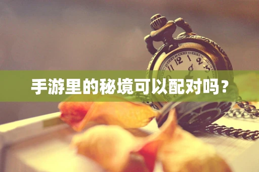 手游里的秘境可以配对吗？
