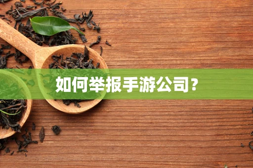 如何举报手游公司？