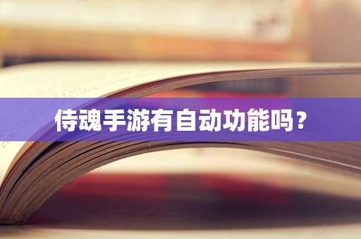 侍魂手游有自动功能吗？