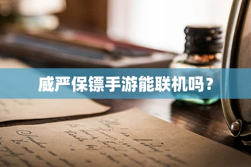 威严保镖手游能联机吗？