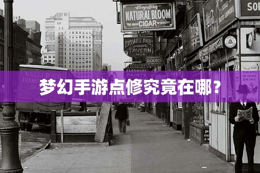 梦幻手游点修究竟在哪？