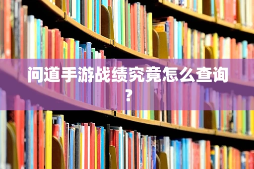 问道手游战绩究竟怎么查询？