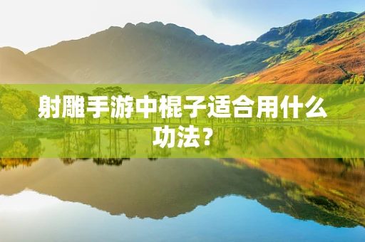射雕手游中棍子适合用什么功法？