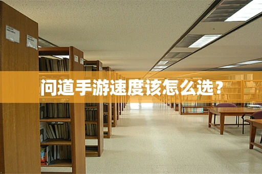 问道手游速度该怎么选？
