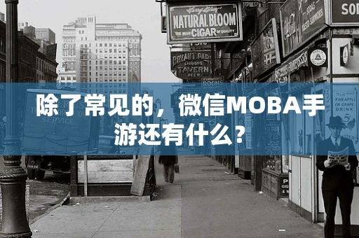 除了常见的，微信MOBA手游还有什么？