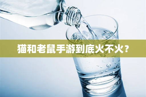 猫和老鼠手游到底火不火？