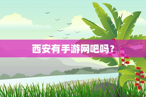 西安有手游网吧吗？