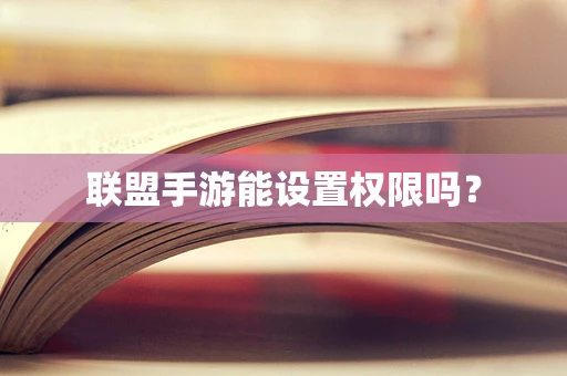 联盟手游能设置权限吗？