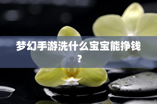 梦幻手游洗什么宝宝能挣钱？