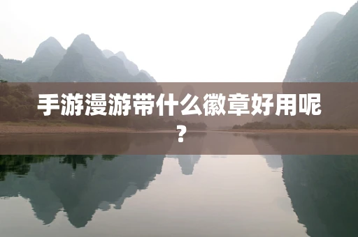 手游漫游带什么徽章好用呢？