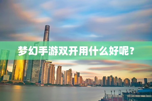 梦幻手游双开用什么好呢？