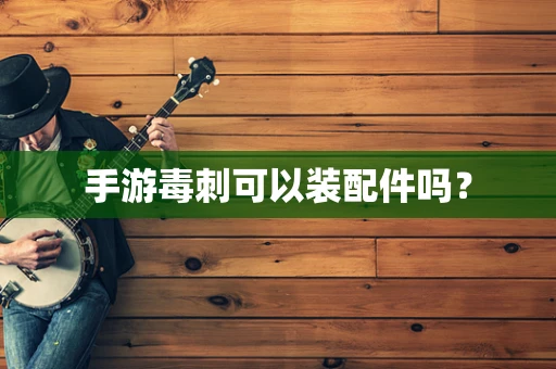 手游毒刺可以装配件吗？
