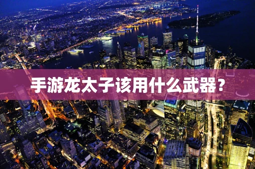 手游龙太子该用什么武器？