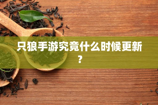 只狼手游究竟什么时候更新？