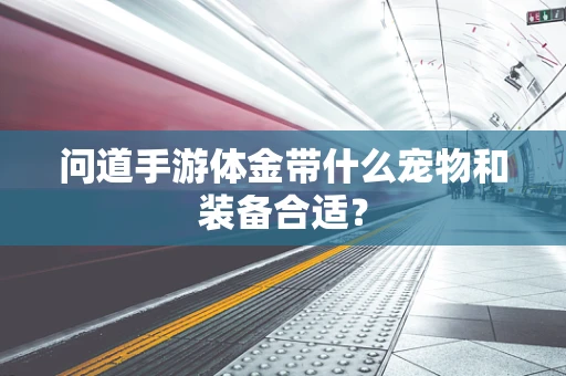 问道手游体金带什么宠物和装备合适？