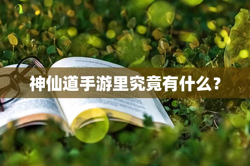 神仙道手游里究竟有什么？
