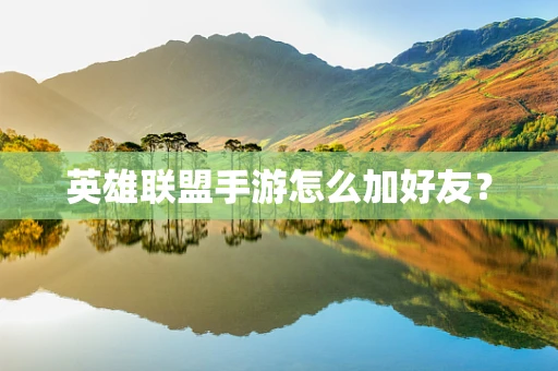 英雄联盟手游怎么加好友？