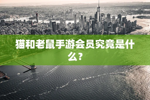 猫和老鼠手游会员究竟是什么？