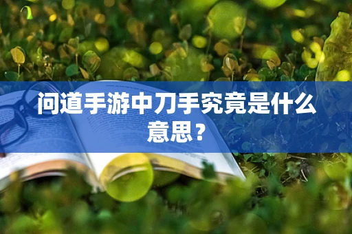 问道手游中刀手究竟是什么意思？