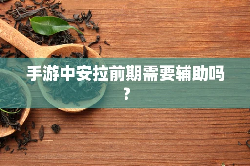 手游中安拉前期需要辅助吗？