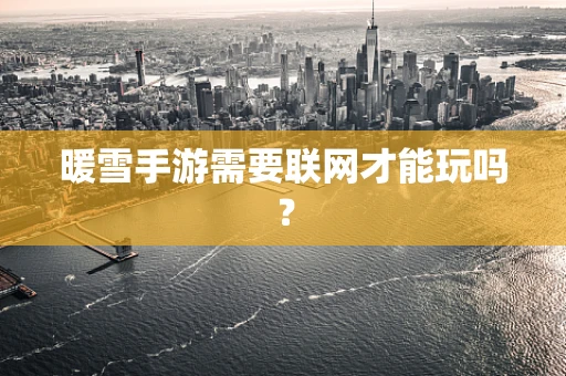 暖雪手游需要联网才能玩吗？