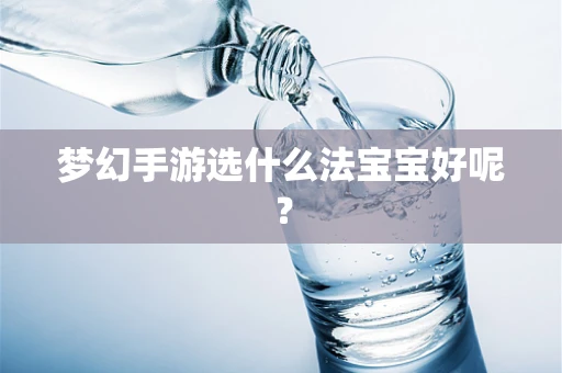 梦幻手游选什么法宝宝好呢？