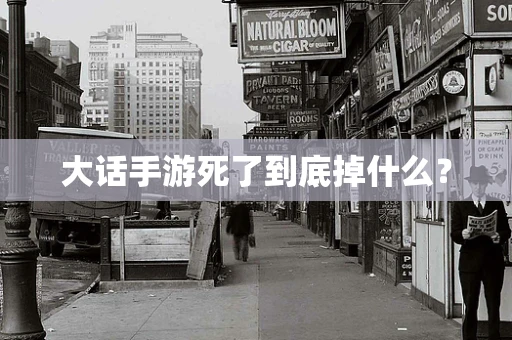 大话手游死了到底掉什么？
