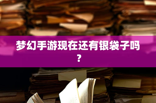 梦幻手游现在还有银袋子吗？