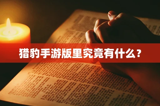 猎豹手游版里究竟有什么？