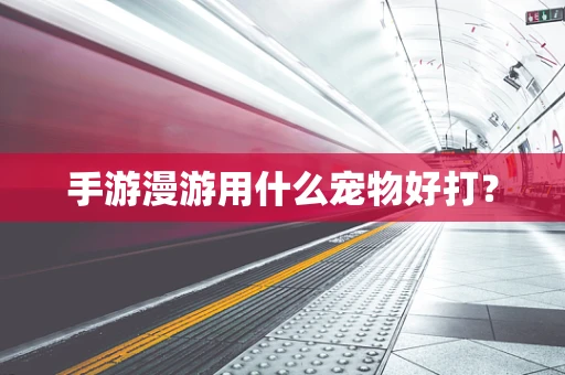 手游漫游用什么宠物好打？