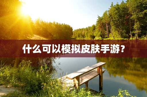 什么可以模拟皮肤手游？
