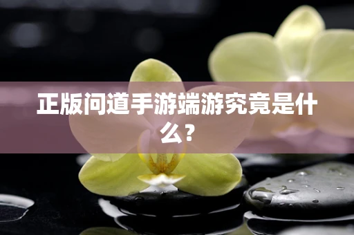 正版问道手游端游究竟是什么？